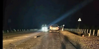 В Хабаровском крае произошло смертельное ДТП на трассе «Уссури» - КП Хабаровск