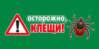 Осторожно – клещи! Памятка для детей и взрослых. - Город Ачинск