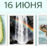 День праздников, которых никто не ожидает: 16 июня - 168.Ru