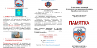 Бузулучанам рассказали о профилактике травматизма на воде    - Администрация города