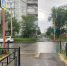 В Черногорске в результате ДТП пострадал ребёнок на велосипеде. - Республиканская телевизионная сеть