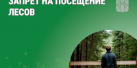 Запрет на посещение лесов. - Катайский муниципальный округ
