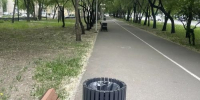 В Абакане меняют мусорные урны - Агентство Информационных Сообщений