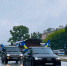 img - ЛДПР