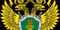 Домодедовский городской суд Московской области в полном объеме удовлетворил исковые требования межрайонной природоохранной прокуратуры - СМИ Видное