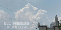 Гигантская крыса шокировала томичей возле Белого озера - ГТРК Томск