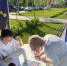 img - ЛДПР