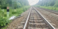 В Пермском крае поезд насмерть сбил 11-летнего мальчика на велосипеде - Ветта