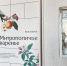 Фото: официальный сайт правительства Ярославской области - НИА-Волга