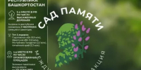 Башкортостан вновь в числе ведущих регионов России по итогам международной акции «Сад памяти» - Министерство лесного хозяйства