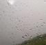 В Мордовии продолжаются грозы, очередная ожидается 16 июня - Вестник Мордовии