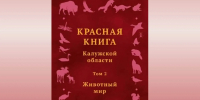 Красную книгу Калужской области пополнят 29 видов животных - Калужская неделя