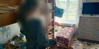 Возбуждено уголовное дело по факту истязания 14-летней девочки в Меленках - Владимирские Ведомости
