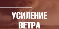 Во Владимире ожидается усиление ветра - Город Владимир