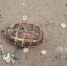 image - GazetaRB.Ru