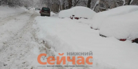 Организатора мастер-класса оштрафовали за падение снега на детей - ИА Нижний сейчас