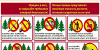 ПАМЯТКА по пожарной безопасности в лесу - Володарский район