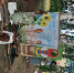 You are viewing the image with filename 20260614_120445.jpg - Администрация Мамонтовского района