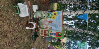 You are viewing the image with filename 20260614_120445.jpg - Администрация Мамонтовского района