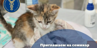 Обучающий семинар по маркировке ветеринарных препаратов и кормов для животных на базе регионального центра «Мой бизнес» - Вознесенский муниципальный округ