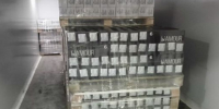 Почти 200 тонн произведенных в Мордовии кормов для домашних животных отправлено в зарубежные страны - Вестник Мордовии