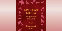 В Красную книгу Калужской области внесут 29 новых видов животных - Калужский перекрёсток