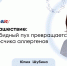 Тополиный пух: почему он не виноват, но от него страдают аллергики - ФГАУ ЛРЦ