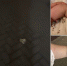 Анапские полицейские разыскивают хулигана с яйцами - Газета Анапское Черноморье