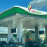 АЗС «Татнефть» в Оренбурге. Фото: Урал56.Ру - Ural56.Ru