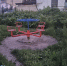 img - ЛДПР