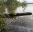Два человека погибли на воде в Новосибирской области за несколько дней - Сиб.фм