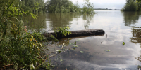 Два человека погибли на воде в Новосибирской области за несколько дней - Сиб.фм