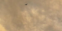 Над Азовским морем сбили БПЛА в ходе ночной атаки дронов 16 июня - DonDay-Taganrog.Ru