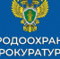 Казанской межрайонной природоохранной прокуратурой проведена проверка исполнения законодательства в сфере обращения с отходами - Министерство лесного хозяйства