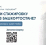 В Башкортостане открылся Центр кадровой стажировки для молодежи, обучающейся в других городах - Гафурийский район