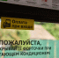 Контролеры зафиксировали 193 нарушения в работе курских перевозчиков - Городские Известия