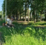 В ГОРОДЕ ПРОДОЛЖАЮТСЯ РАБОТЫ ПО БЛАГОУСТРОЙСТВУ. - Городской округ Вичуга