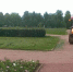 В Петербурге за неделю восстановили почти четыре тысячи квадратных метров дорожек - Spbdnevnik.ru