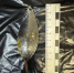 IMG_20260616_1633421 - ОМВД Республики Тыва