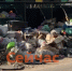 Мэру Нижнего Новгорода жалуются на горы мусора - ИА Нижний сейчас