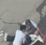 vlcsnap-2026-06-16-14h52m00s219 - Сетевое издание Арбуз
