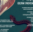 Укус змеи — ситуация, требующая быстрого и правильного реагирования! Вот что нужно делать: - Островский муниципальный район