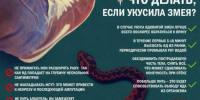 Укус змеи — ситуация, требующая быстрого и правильного реагирования! Вот что нужно делать: - Островский муниципальный район