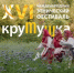 XVI Международный этнический фестиваль «Крутушка» - Отдел культуры, физкультуры и спорта