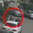 Бойцовские псы разорвали собаку на глазах у ребёнка в воронежском ЖК - ГТРК Воронеж