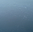 _jn8pgibxuy5d1by0gymqo1pjglvn-rizzzvslwvz8wjgzbffo3wy3c4jortslezbmigugkbtojgvvggrlb4n9x8probel1 - Ракурс 32