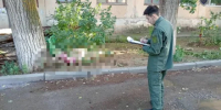 Руководителя УК в Астраханской области осудили на 2 года за гибель женщины из-за упавшего дерева - ГТРК Лотос