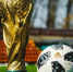 Фото: fifg/Shutterstock/Fotodom - Ямал-Медиа