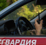 В Кавказском районе выявлен факт незаконного оборота наркотиков - 24Krasnodar.Ru