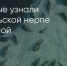 Поделитья во ВКонтакте - Братская Студия Телевидения